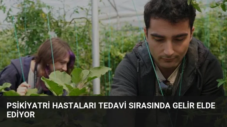 Psikiyatri Hastaları Tedavi Sırasında Gelir Elde Ediyor
