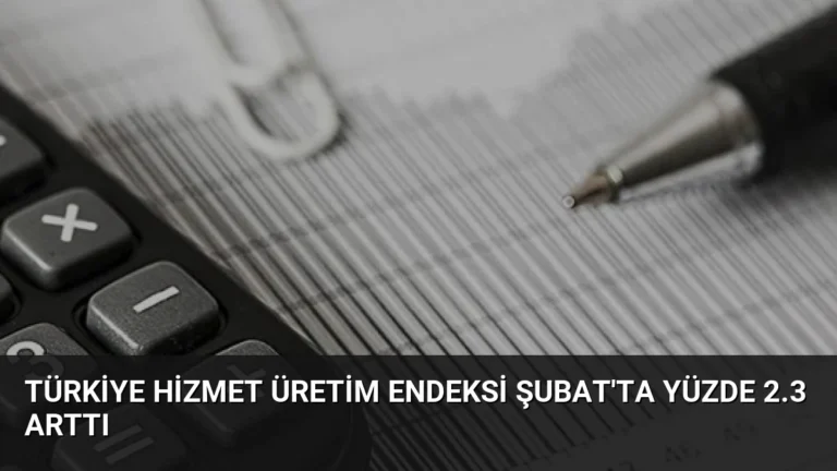Türkiye Hizmet Üretim Endeksi Şubat’ta Yüzde 2.3 Arttı