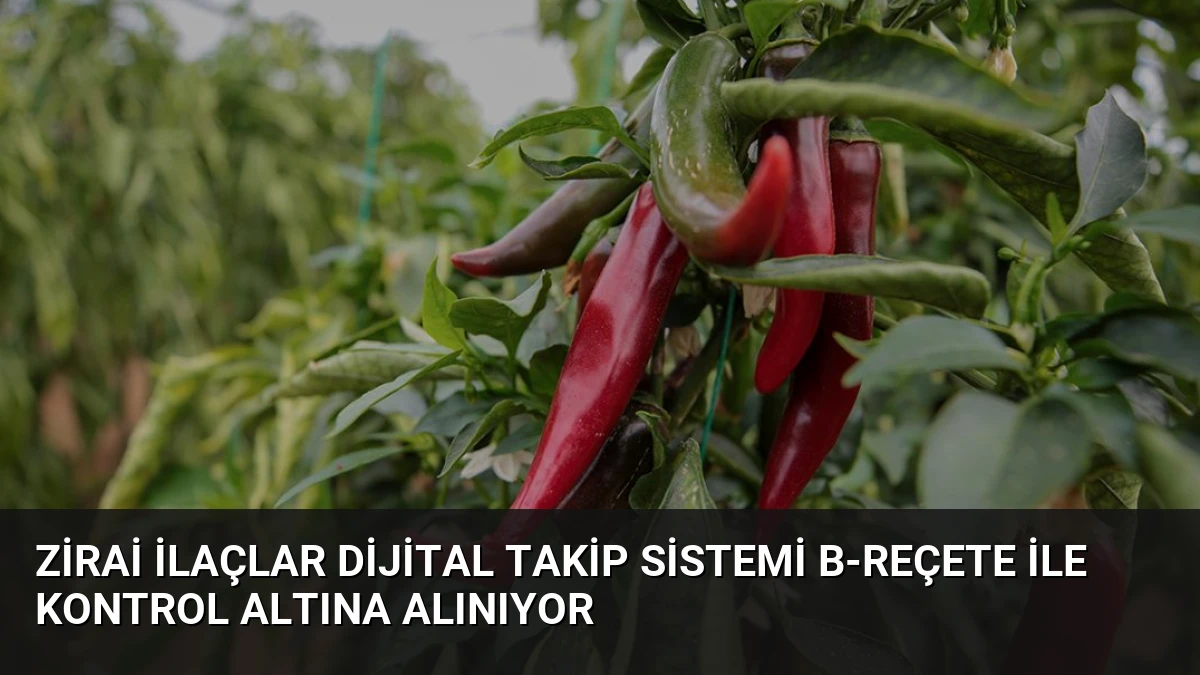 Zirai İlaçlar Dijital Takip Sistemi B-Reçete ile Kontrol Altına Alınıyor
