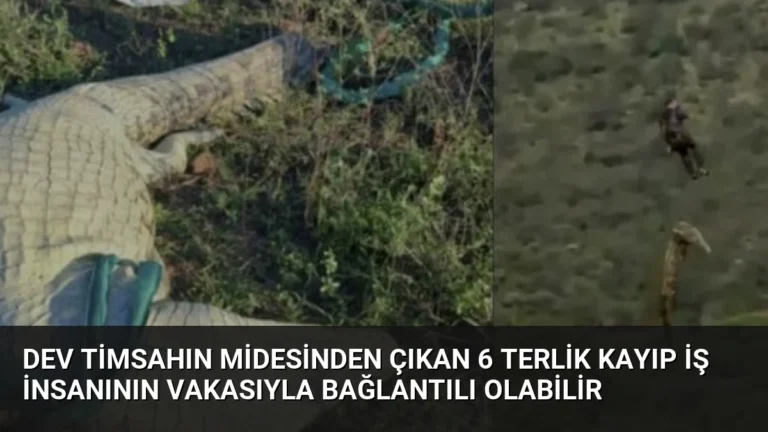 Dev Timsahın Midesinden Çıkan 6 Terlik Kayıp İş İnsanının Vakasıyla Bağlantılı Olabilir