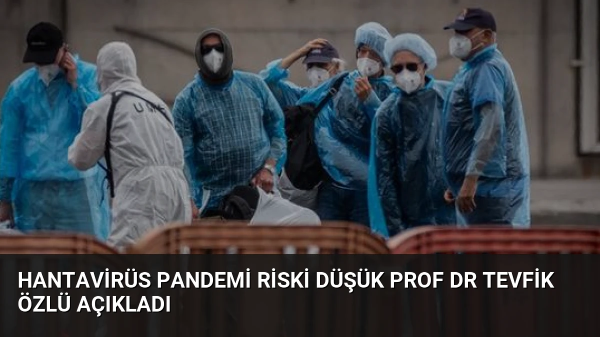Hantavirüs Pandemi Riski Düşük Prof Dr Tevfik Özlü Açıkladı