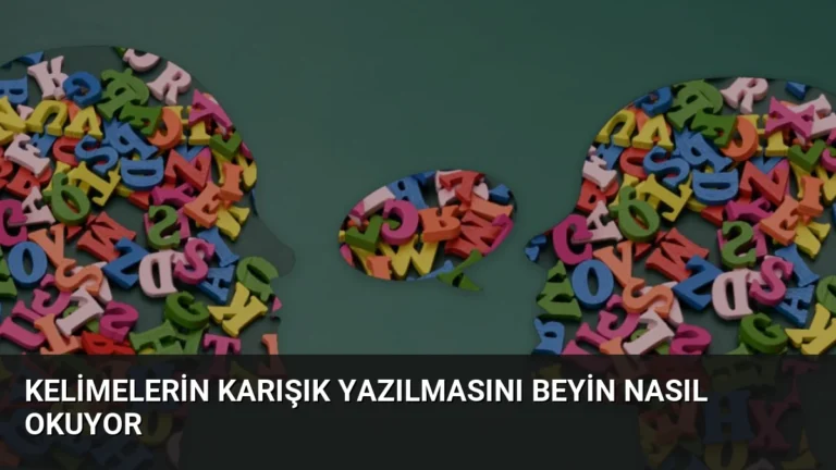 Kelimelerin Karışık Yazılmasını Beyin Nasıl Okuyor