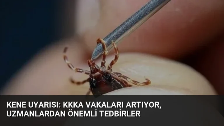 Kene Uyarısı: KKKA Vakaları Artıyor, Uzmanlardan Önemli Tedbirler