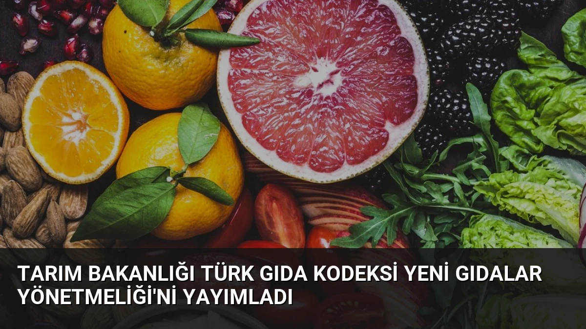 Tarım Bakanlığı Türk Gıda Kodeksi Yeni Gıdalar Yönetmeliği’ni Yayımladı