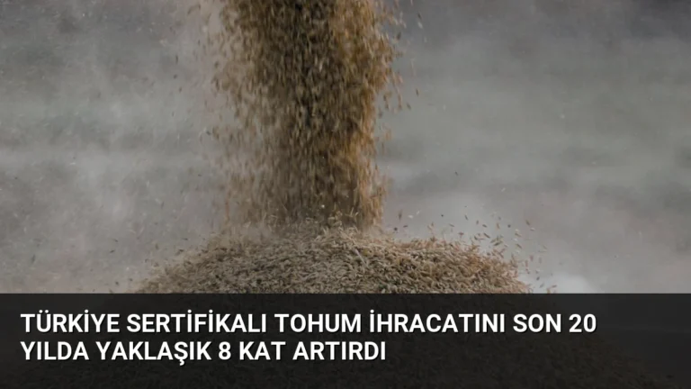 Türkiye Sertifikalı Tohum İhracatını Son 20 Yılda Yaklaşık 8 Kat Artırdı