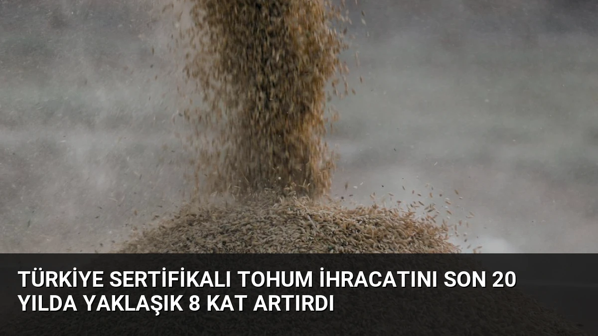 Türkiye Sertifikalı Tohum İhracatını Son 20 Yılda Yaklaşık 8 Kat Artırdı