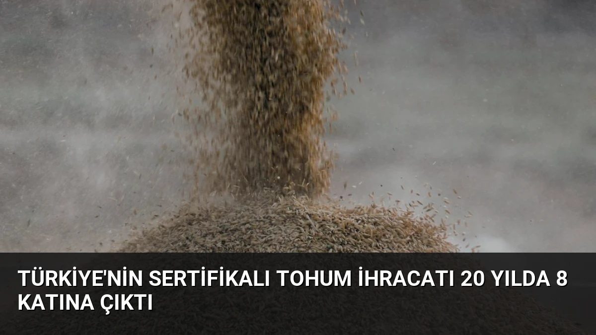 Türkiye’nin Sertifikalı Tohum İhracatı 20 Yılda 8 Katına Çıktı