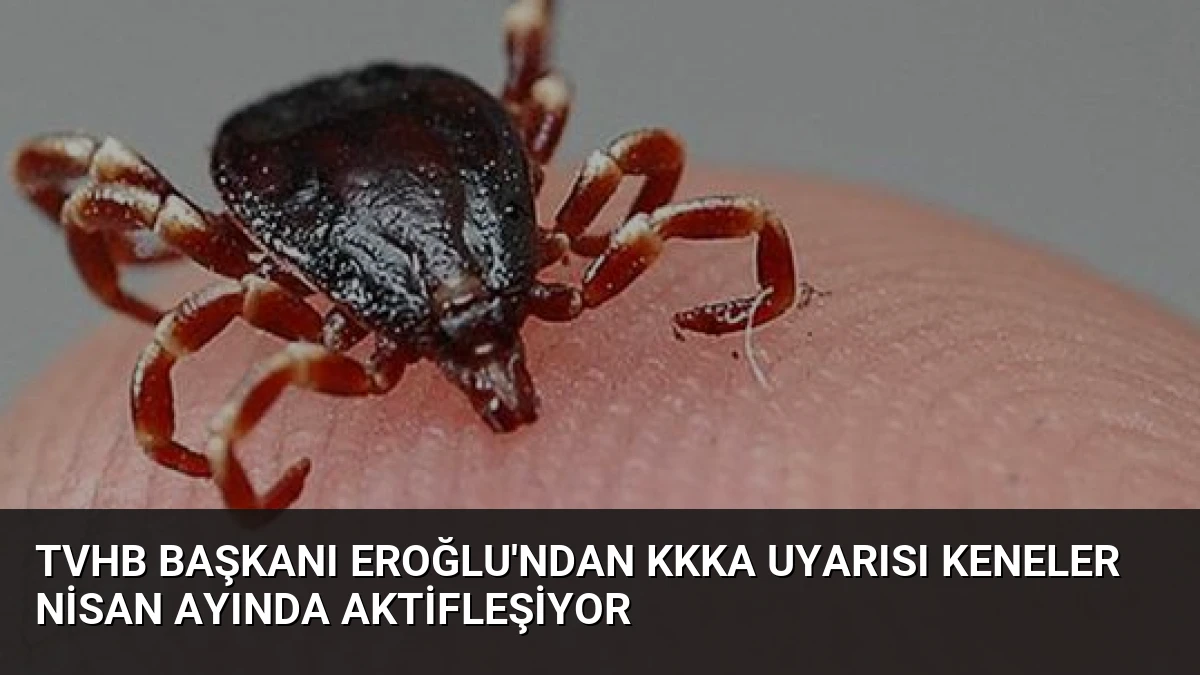 TVHB Başkanı Eroğlu’ndan KKKA Uyarısı Keneler Nisan Ayında Aktifleşiyor