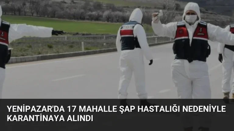 Yenipazar’da 17 Mahalle Şap Hastalığı Nedeniyle Karantinaya Alındı