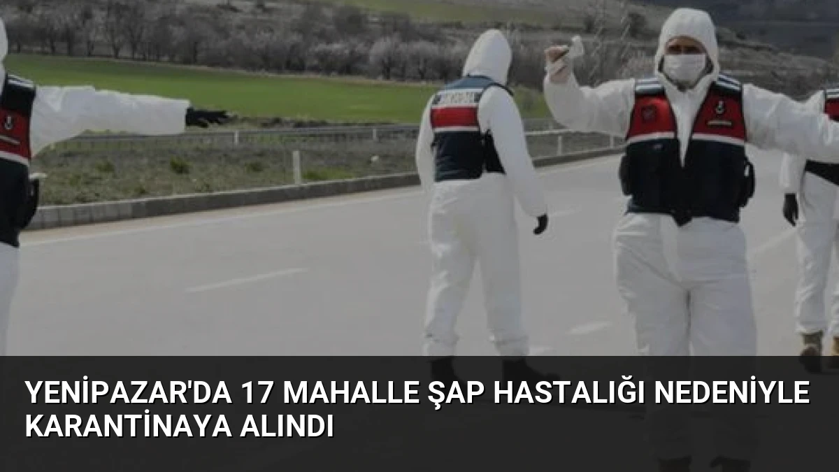 Yenipazar’da 17 Mahalle Şap Hastalığı Nedeniyle Karantinaya Alındı