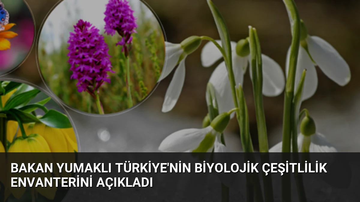 Bakan Yumaklı Türkiye’nin Biyolojik Çeşitlilik Envanterini Açıkladı