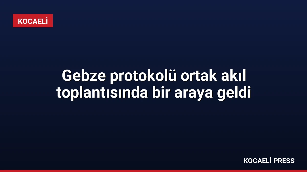 Gebze protokolü ortak akıl toplantısında bir araya geldi