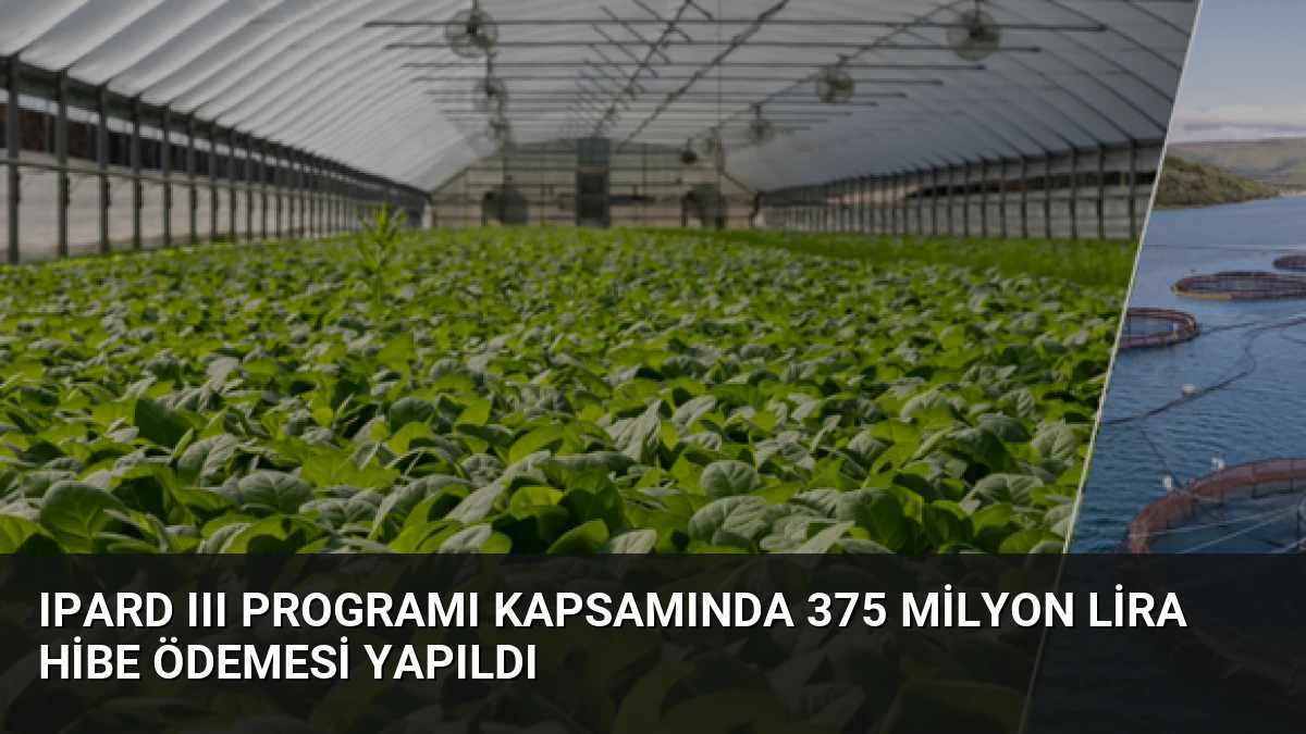 IPARD III Programı Kapsamında 375 Milyon Lira Hibe Ödemesi Yapıldı
