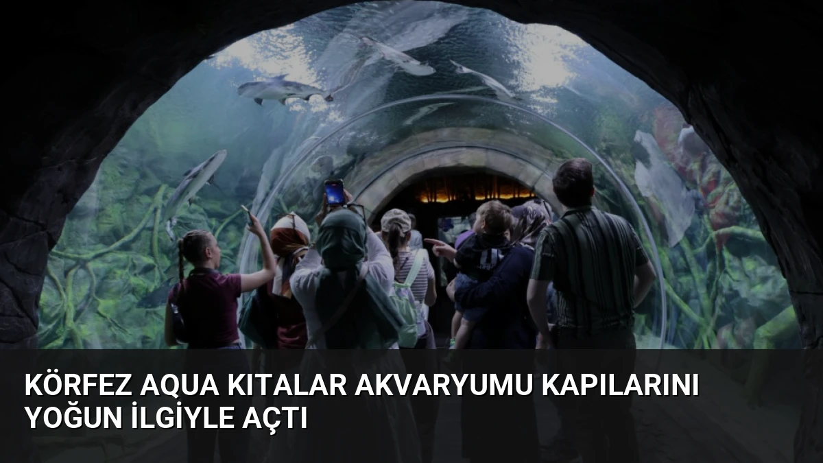 Körfez Aqua Kıtalar Akvaryumu kapılarını yoğun ilgiyle açtı