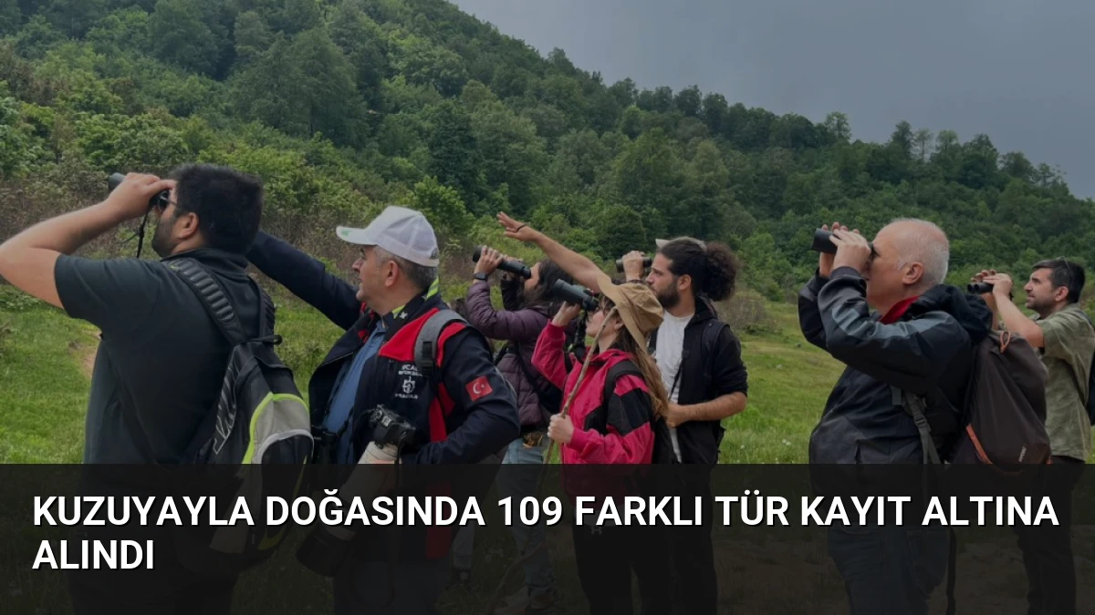 Kuzuyayla Doğasında 109 Farklı Tür Kayıt Altına Alındı