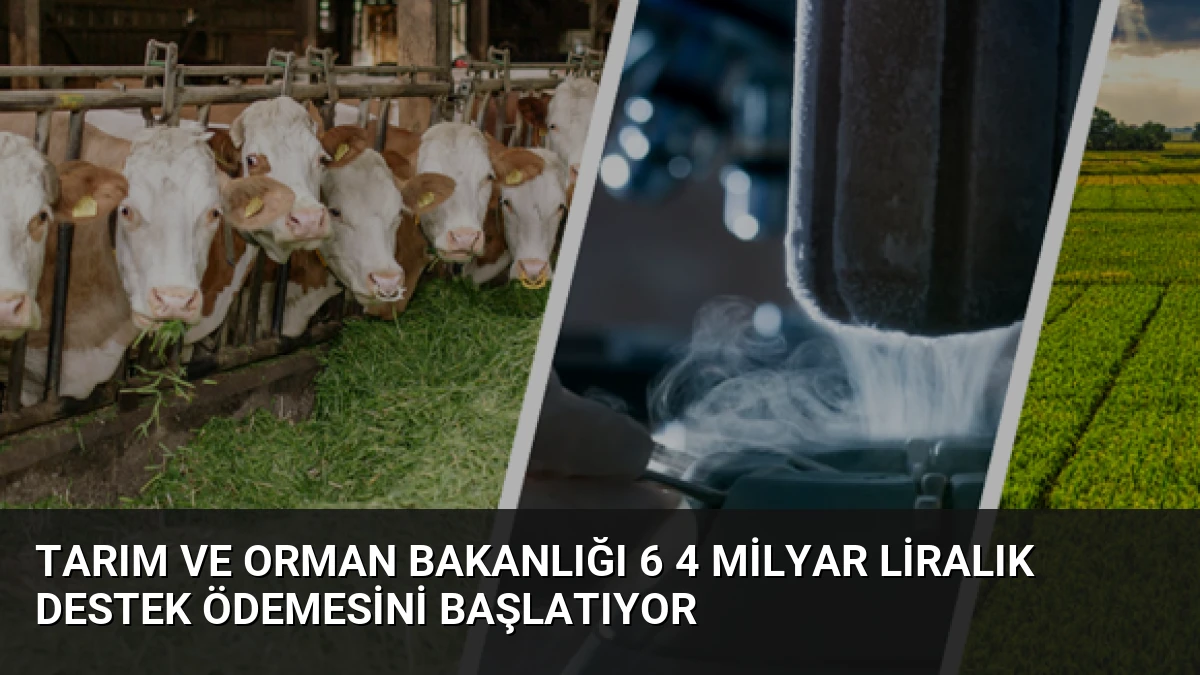 Tarım ve Orman Bakanlığı 6 4 Milyar Liralık Destek Ödemesini Başlatıyor