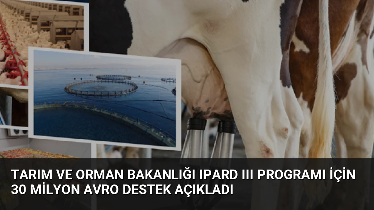 Tarım ve Orman Bakanlığı IPARD III Programı için 30 Milyon Avro Destek Açıkladı
