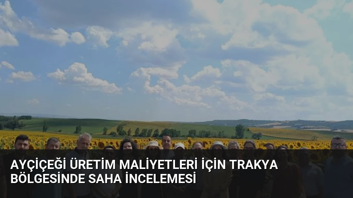 Ayçiçeği Üretim Maliyetleri İçin Trakya Bölgesinde Saha İncelemesi