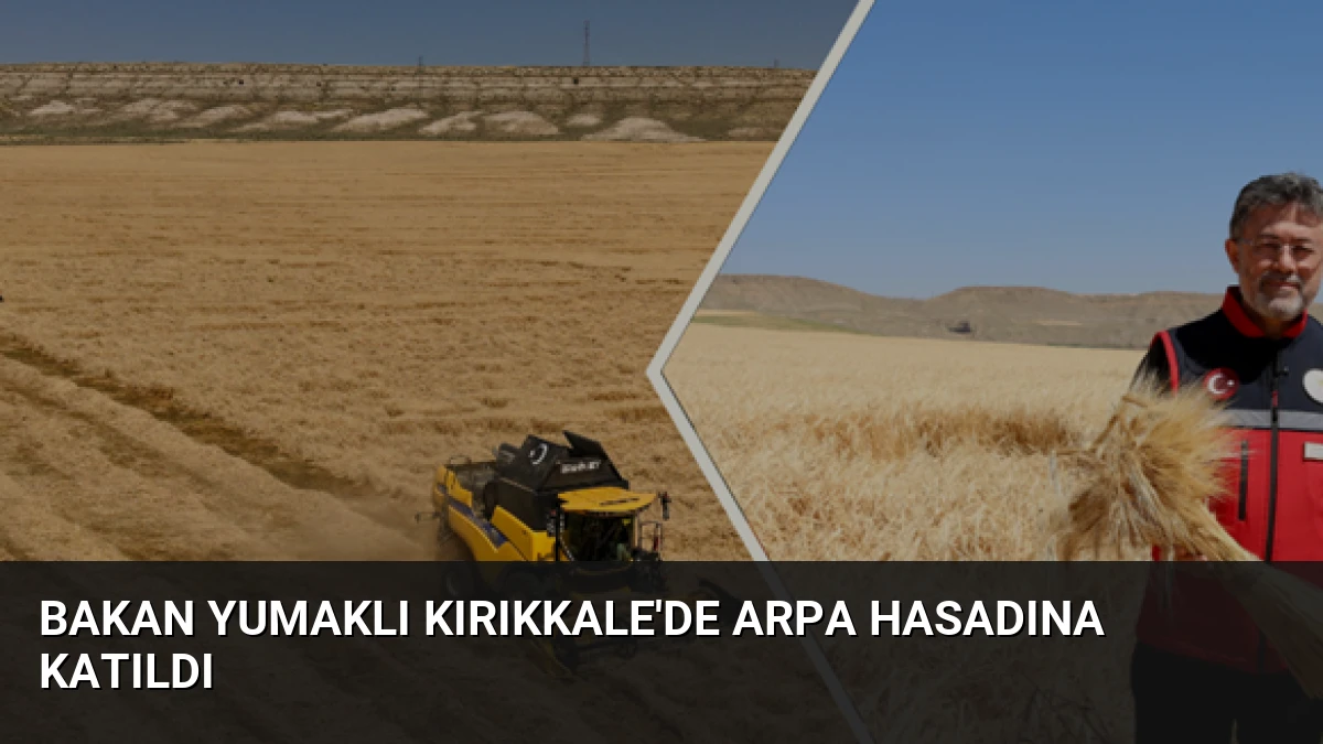 Bakan Yumaklı Kırıkkale’de Arpa Hasadına Katıldı