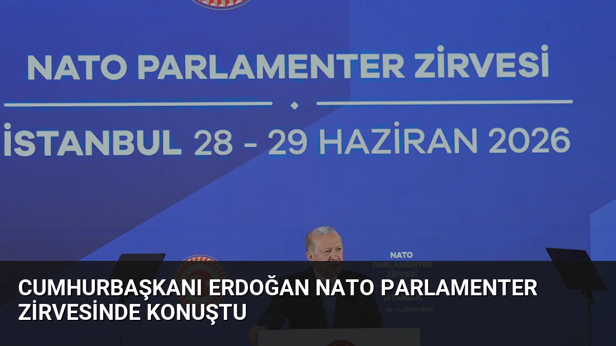 Cumhurbaşkanı Erdoğan NATO Parlamenter Zirvesinde konuştu