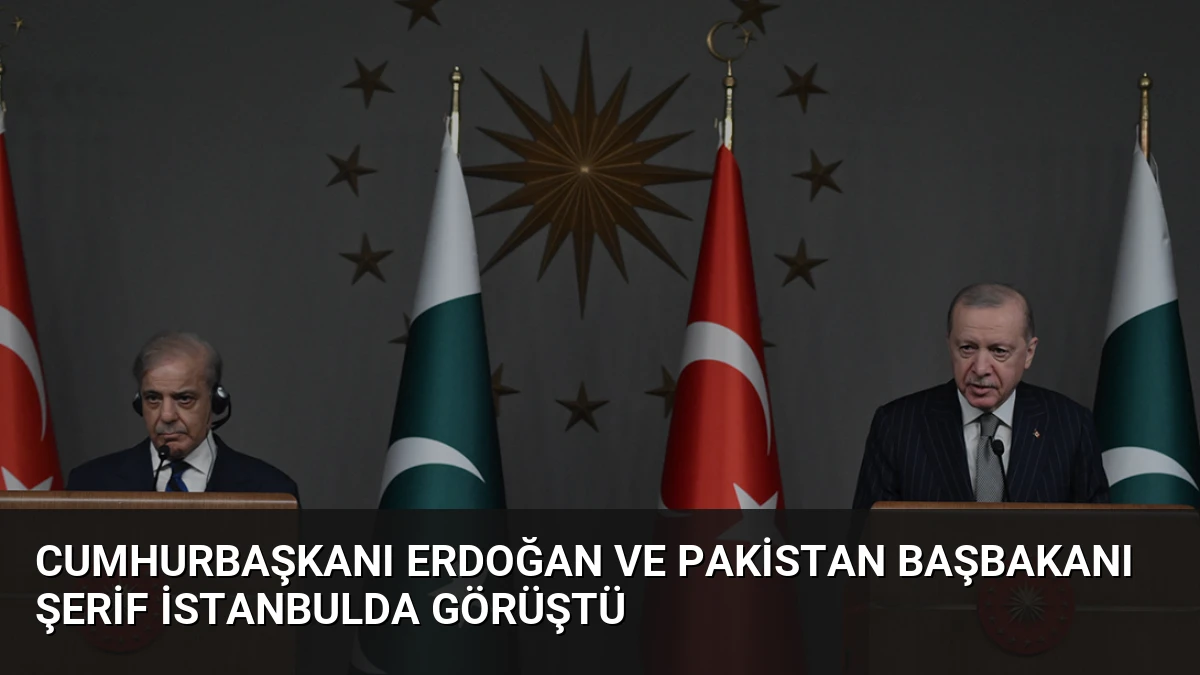 Cumhurbaşkanı Erdoğan ve Pakistan Başbakanı Şerif İstanbulda Görüştü