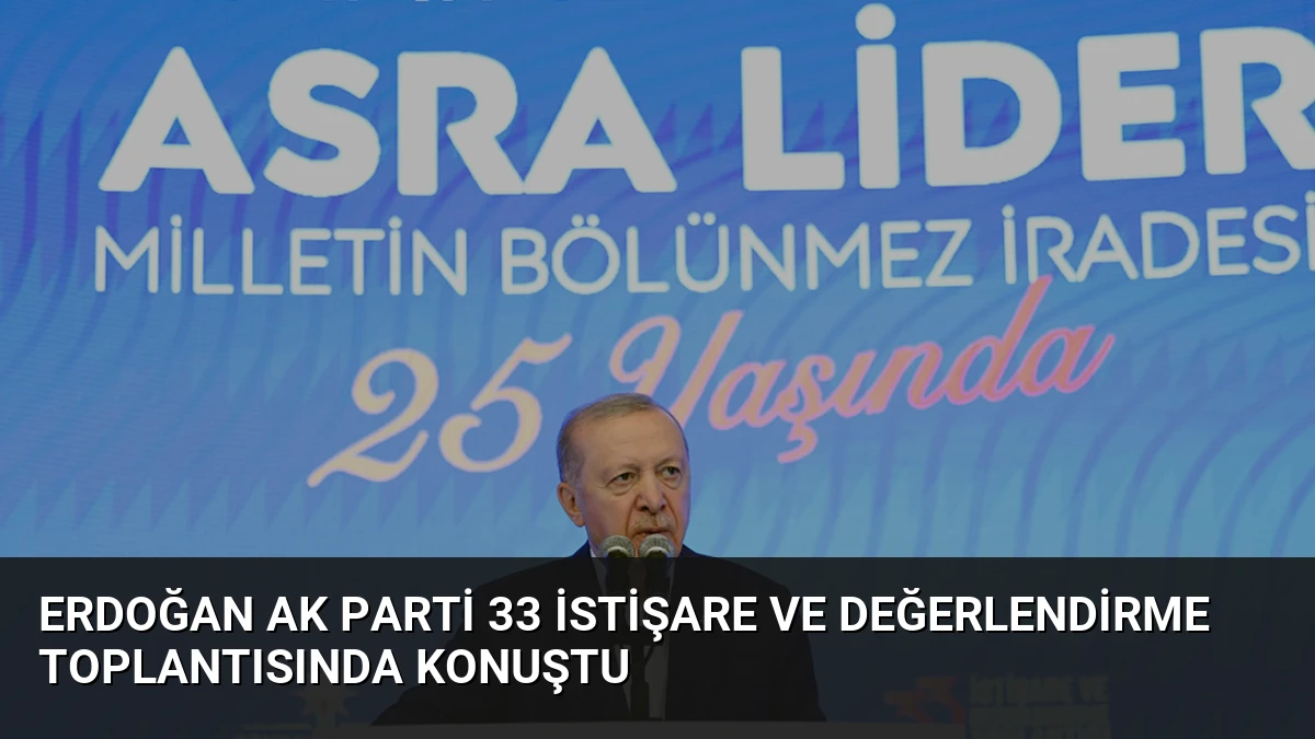 Erdoğan AK Parti 33 İstişare ve Değerlendirme Toplantısında Konuştu