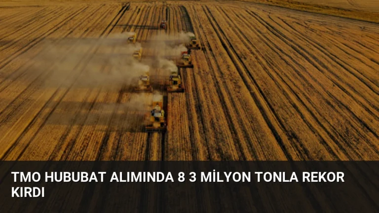 TMO Hububat Alımında 8 3 Milyon Tonla Rekor Kırdı