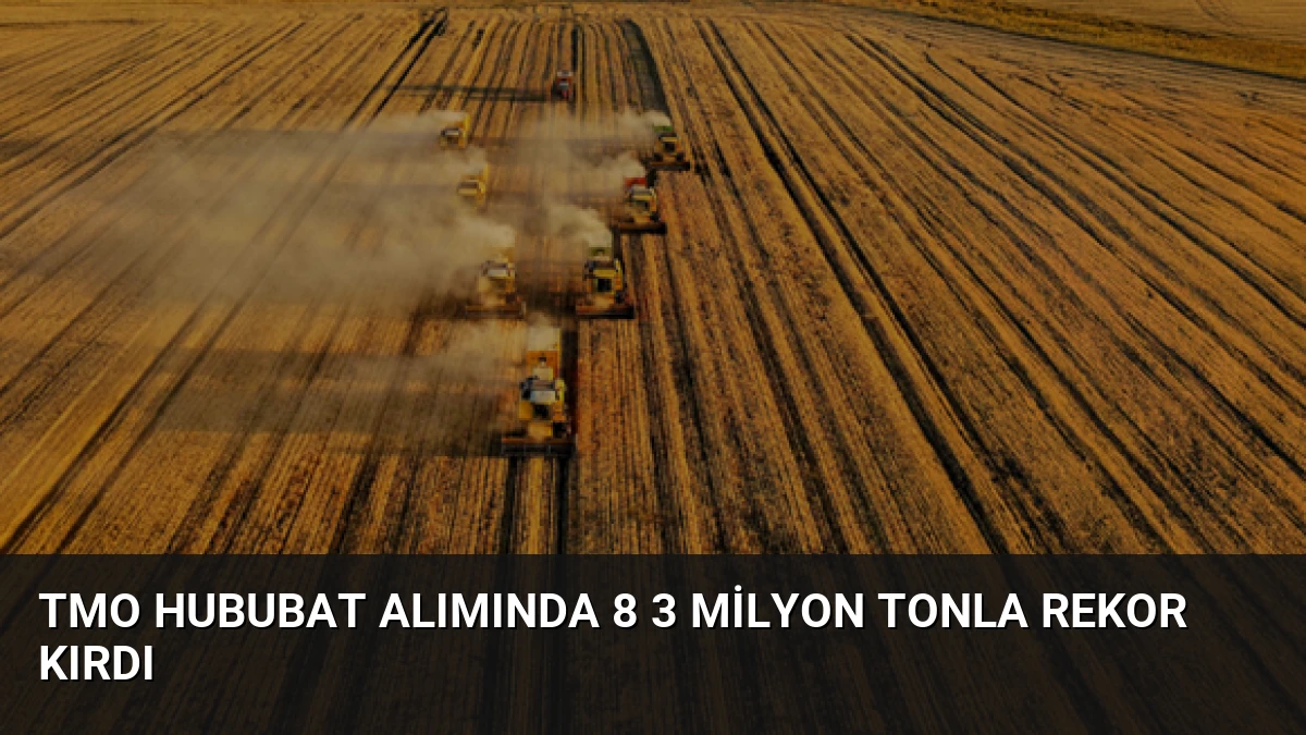 TMO Hububat Alımında 8 3 Milyon Tonla Rekor Kırdı