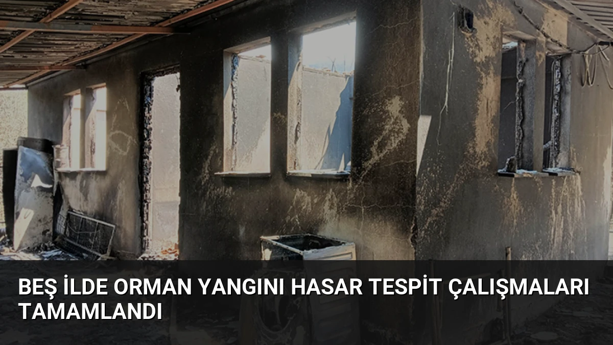 Beş İlde Orman Yangını Hasar Tespit Çalışmaları Tamamlandı