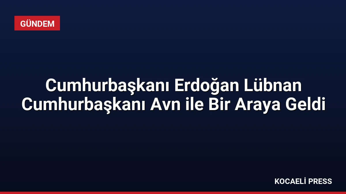 Cumhurbaşkanı Erdoğan Lübnan Cumhurbaşkanı Avn ile Bir Araya Geldi