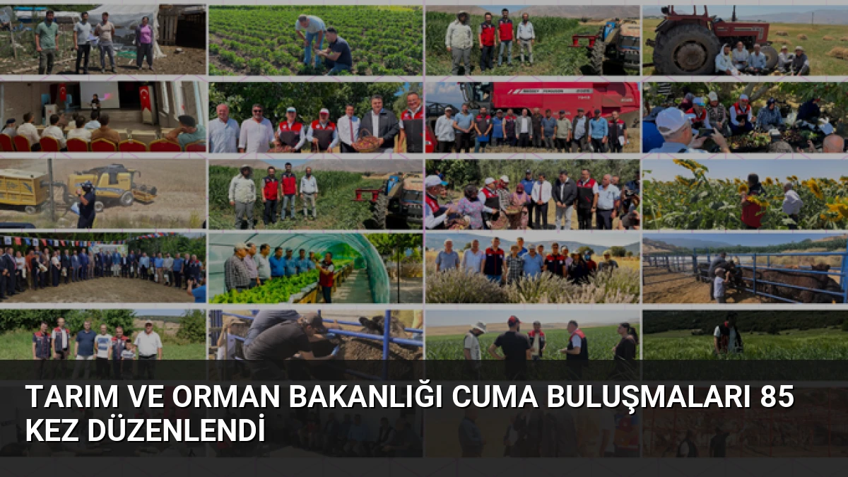 Tarım ve Orman Bakanlığı Cuma Buluşmaları 85 Kez Düzenlendi