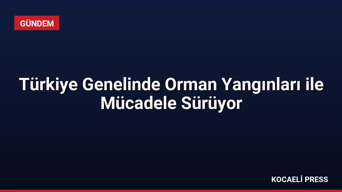 Türkiye Genelinde Orman Yangınları ile Mücadele Sürüyor